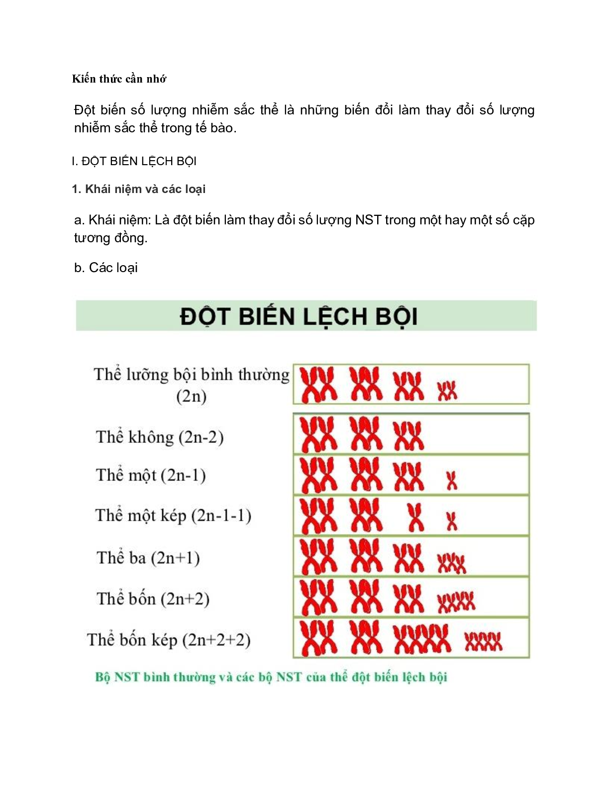 70 bài tập về đột biến số lượng nhiễm sắc thể (2024) có đáp án chi tiết nhất (trang 1)