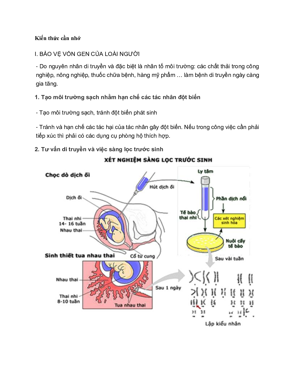 60 bài tập về bảo vệ vốn gen của loài người và một số vấn đề xã hội của di truyền học (2024) có đáp án chi tiết nhất (trang 1)