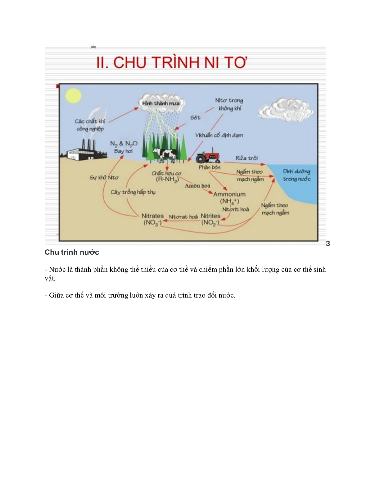 60 bài tập về chu trình sinh địa hóa và sinh quyển (2024) có đáp án chi tiết nhất (trang 3)