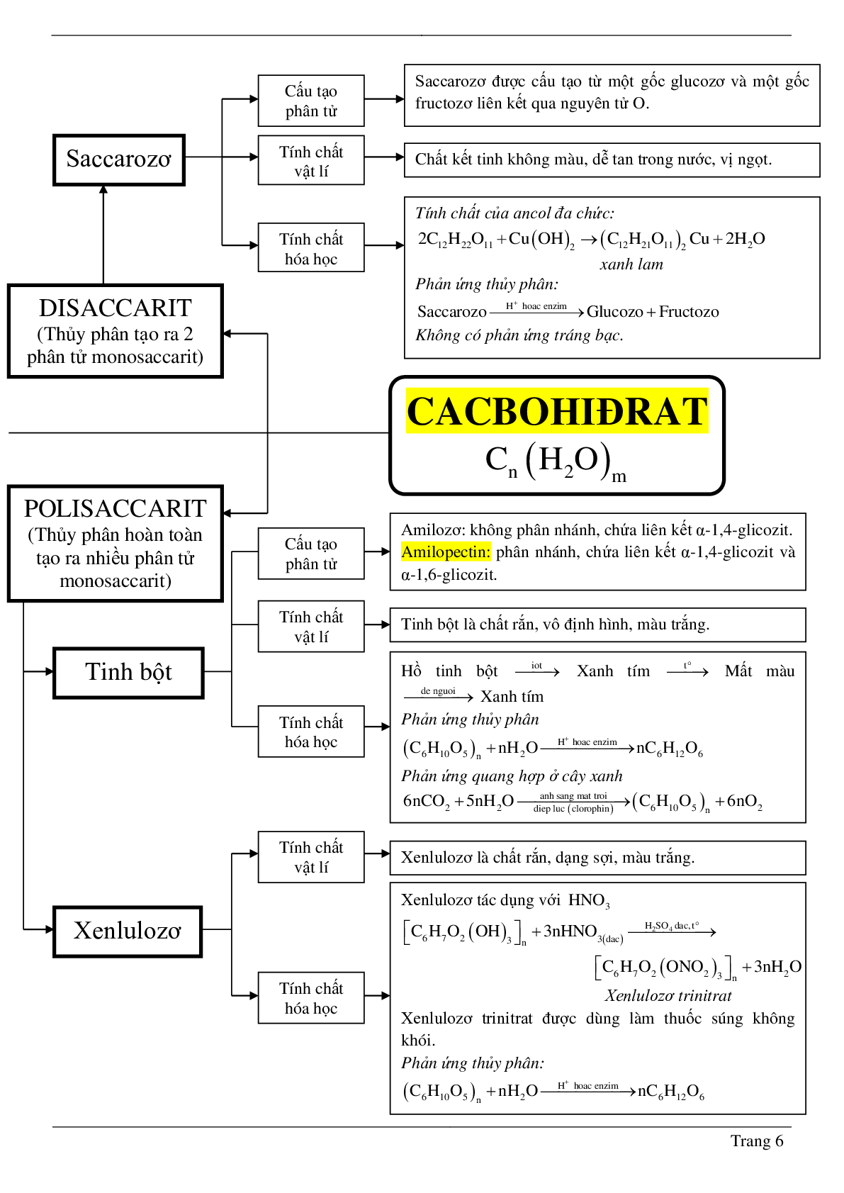 60 Bài tập về Saccarozơ. tinh bột và xenlulozơ (2024) có đáp án chi tiết nhất (trang 6)