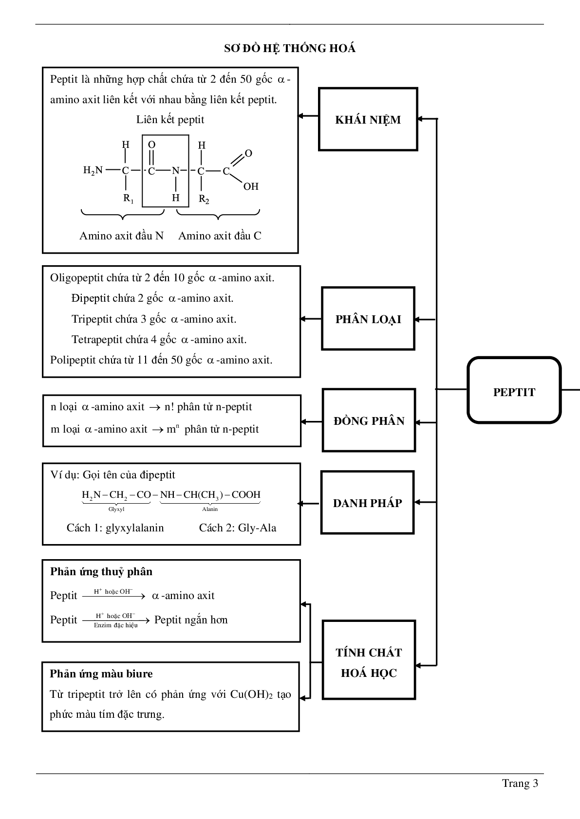 70 Bài tập về Peptit và protein (2024) có đáp án chi tiết nhất (trang 3)