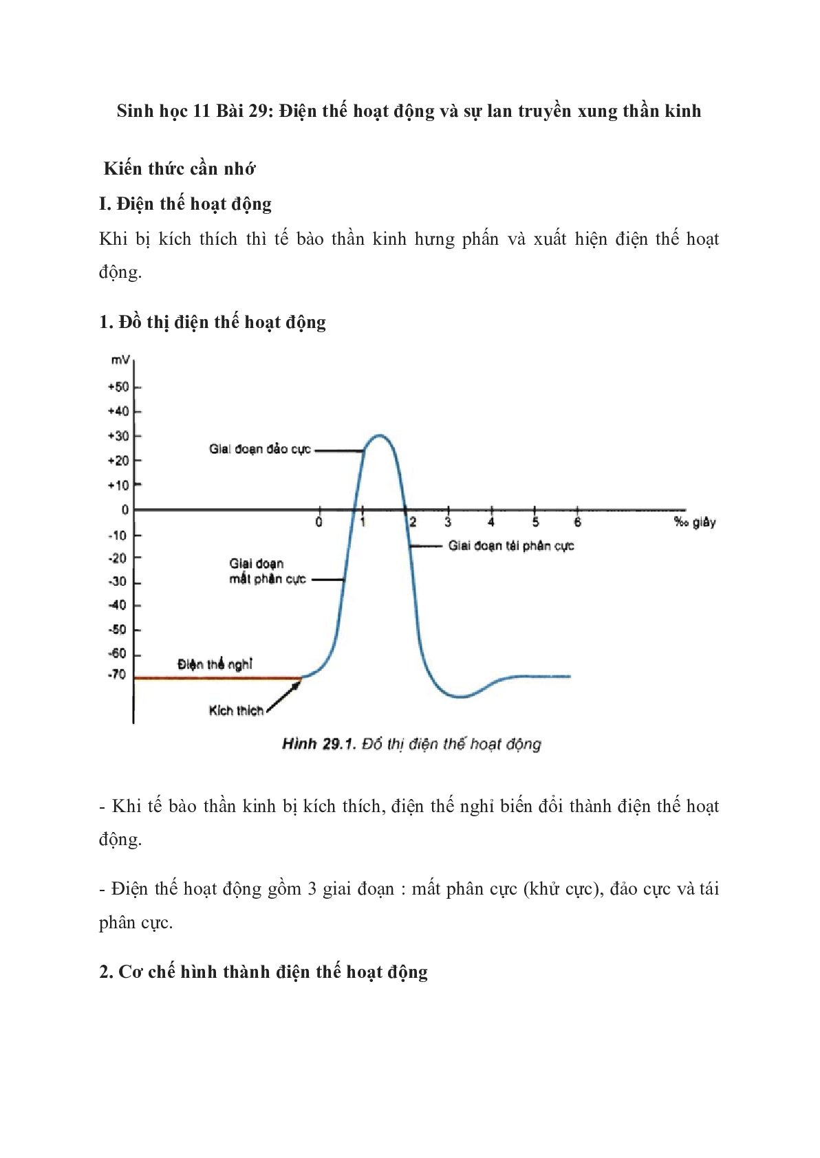 60 Bài tập về điện thế hoạt động và sự lan truyền xung thần kinh (2024) có đáp án chi tiết nhất (trang 1)