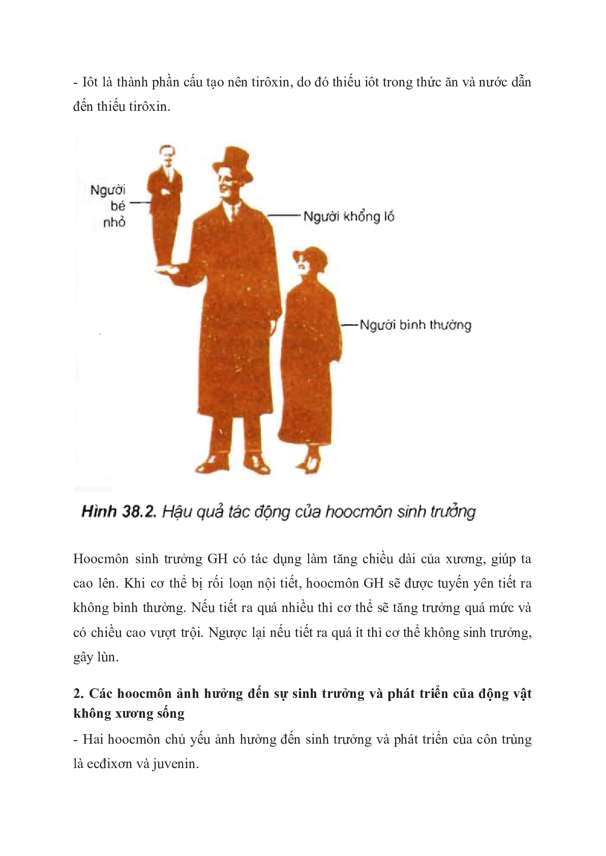 60 Bài tập về các nhân tố ảnh hưởng đến sinh trưởng và phát triển ở động vật (2024) có đáp án chi tiết nhất (trang 2)