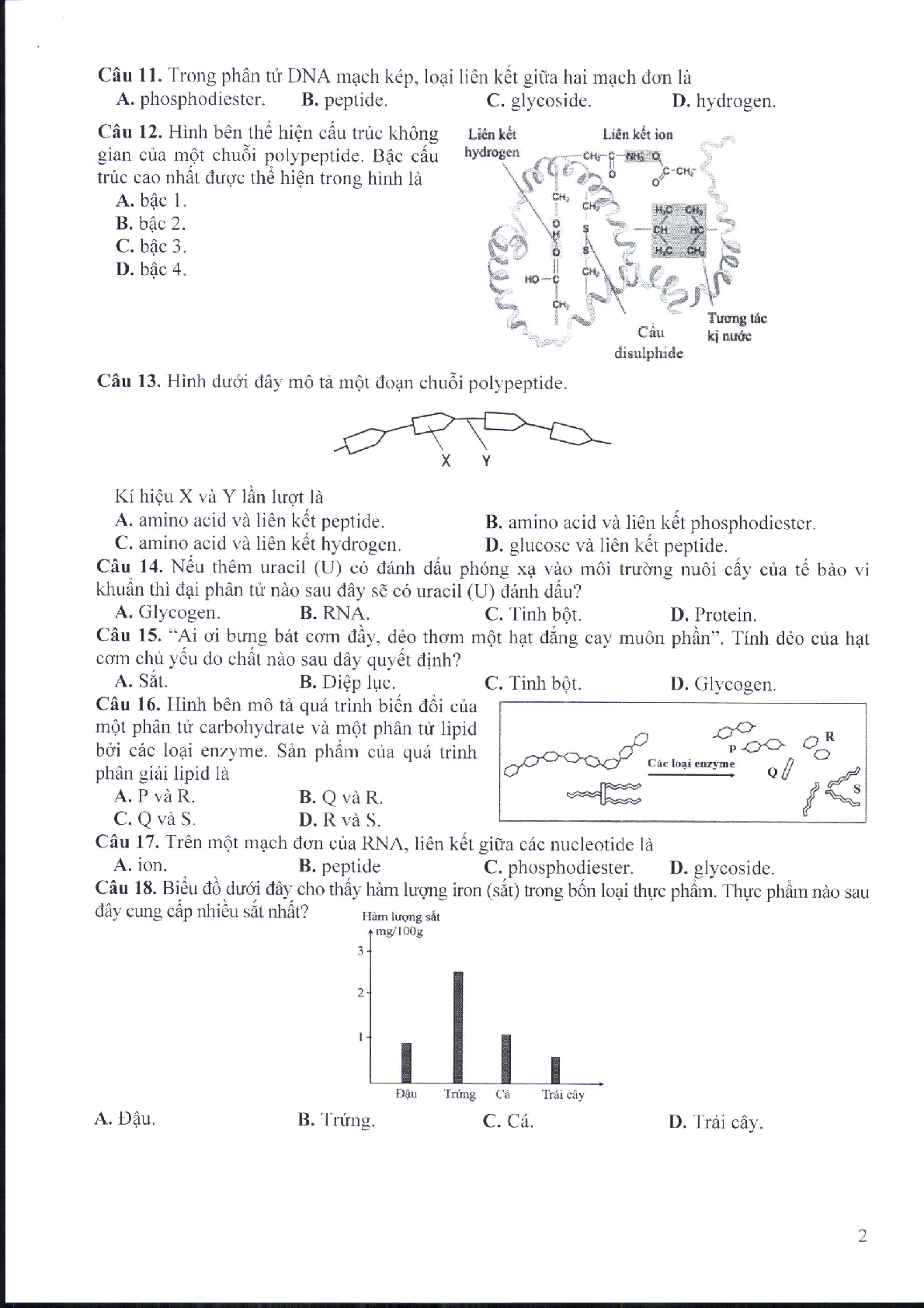 Đề minh họa môn Sinh học thi tốt nghiệp THPT 2025 (có đáp án) (trang 2)