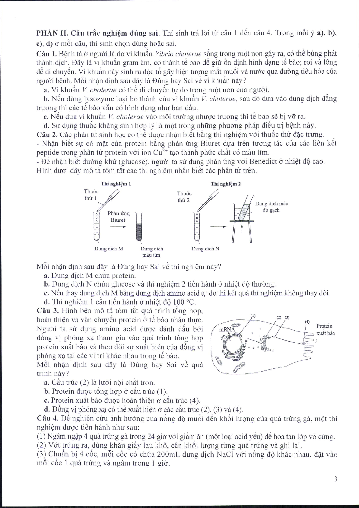 Đề minh họa môn Sinh học thi tốt nghiệp THPT 2025 (có đáp án) (trang 3)