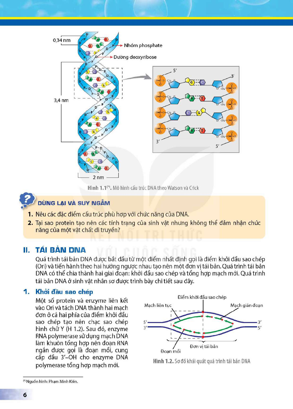 SGK Sinh học 12 Kết nối tri thức PDF | Sách giáo khoa Sinh học 12 Kết nối tri thức (trang 8)