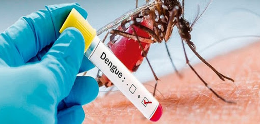 13 câu hỏi thường gặp về sốt xuất huyết