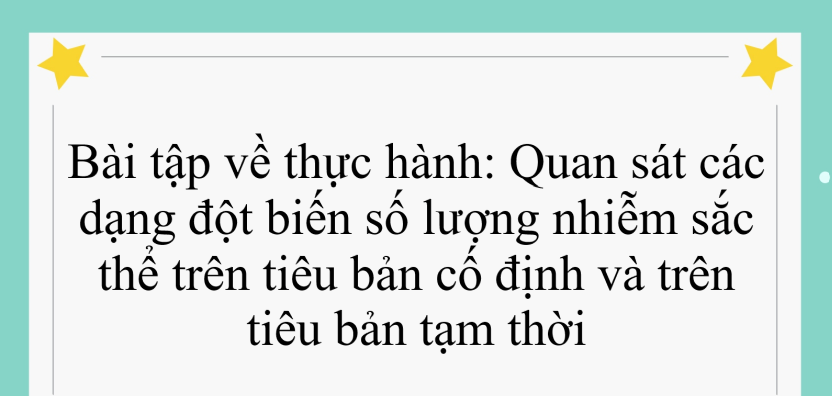 40 bài tập về thực hành: Quan sát các dạng đột biến số lượng nhiễm sắc thể trên tiêu bản cố định và trên tiêu bản tạm thời (có đáp án năm 2023) - Sinh học 12