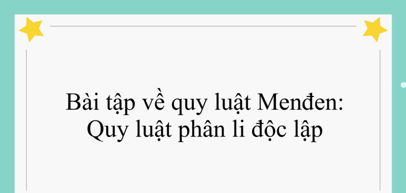 60 bài tập về quy luật Menđen: Quy luật phân li độc lập (2024) có đáp án chi tiết nhất