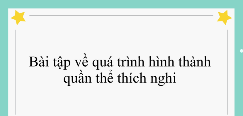 60 bài tập về quá trình hình thành quần thể thích nghi (2024) có đáp án chi tiết nhất