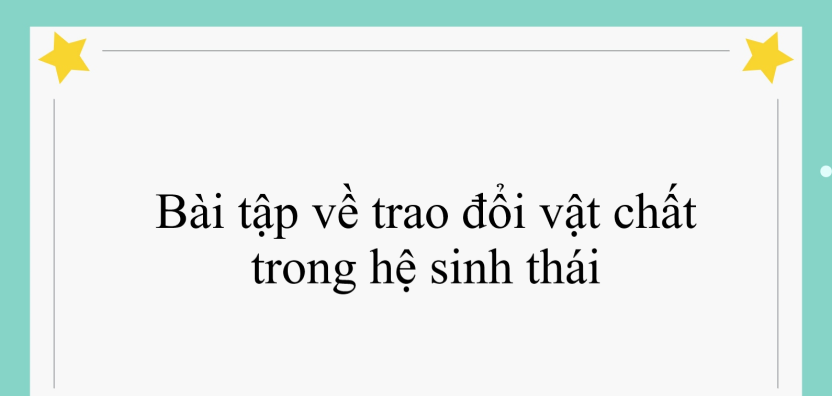 40 bài tập về trao đổi vật chất trong hệ sinh thái (2024) có đáp án chi tiết nhất