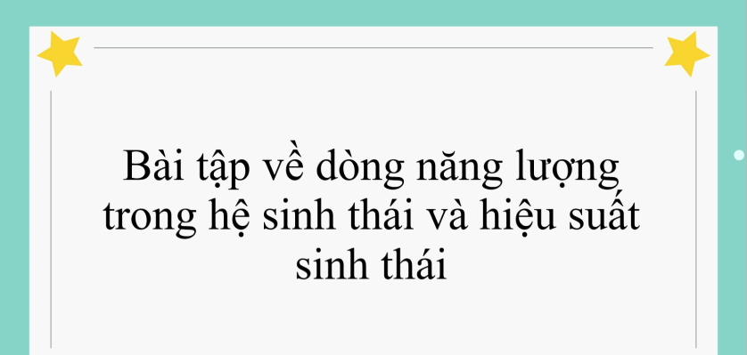 70 bài tập về dòng năng lượng trong hệ sinh thái và hiệu suất sinh thái (2024) có đáp án chi tiết nhất