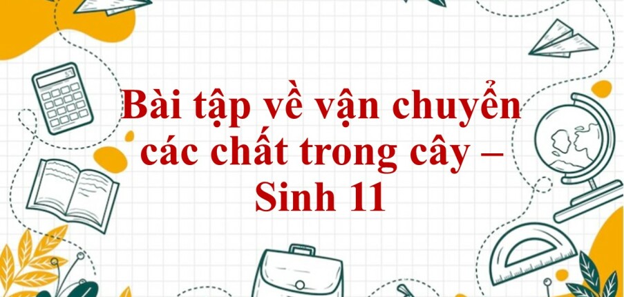 60 Bài tập về vận chuyển các chất trong cây (2024) có đáp án chi tiết nhất