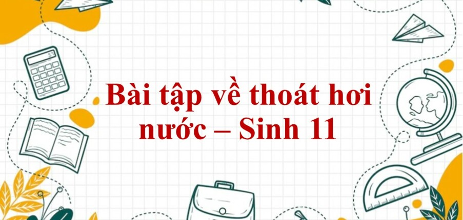 60 Bài tập về thoát hơi nước (2024) có đáp án chi tiết nhất