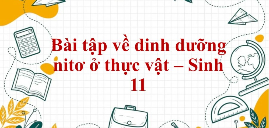 60 Bài tập về dinh dưỡng nitơ ở thực vật (2024) có đáp án chi tiết nhất