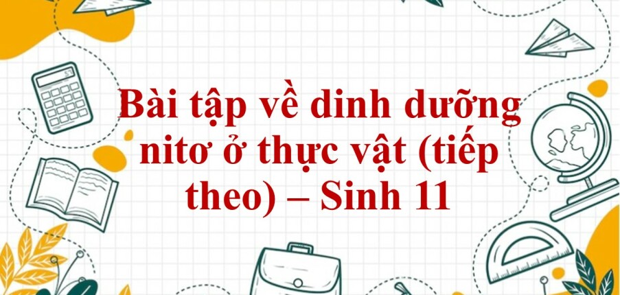 60 Bài tập về dinh dưỡng nitơ ở thực vật (tiếp theo) (2024) có đáp án chi tiết nhất