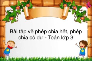 60 bài tập về phép chia hết, phép chia có dư (có đáp án năm 2024) - Toán lớp 3