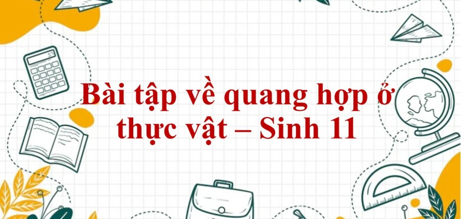 60 Bài tập về quang hợp ở thực vật (2024) có đáp án chi tiết nhất