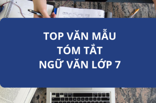 TOP 10 Tóm tắt Vừa nhắm mắt vừa mở cửa sổ (Nguyễn Ngọc Thuần) - Văn 7