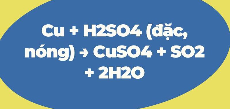 Cu+ H2SO4 → CuSO4 + SO2 + H2O | Cu ra CuSO4