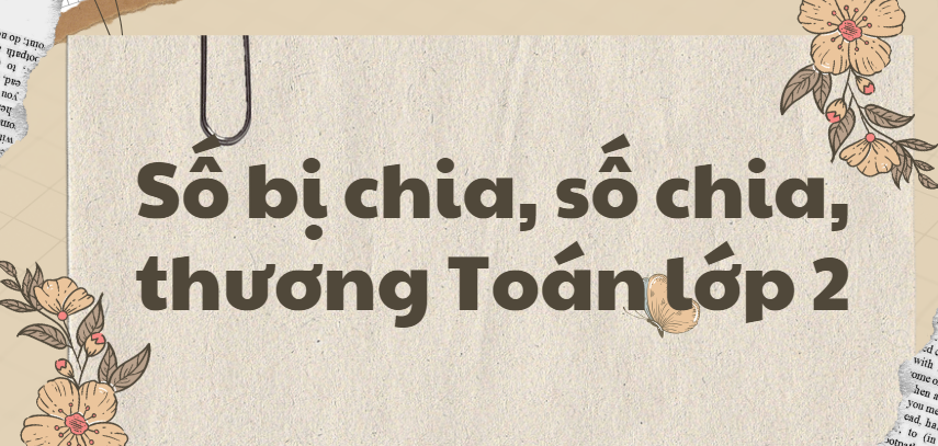 50 Bài tập về số bị chia, số chia, thương (có đáp án năm 2024) - Toán lớp 2