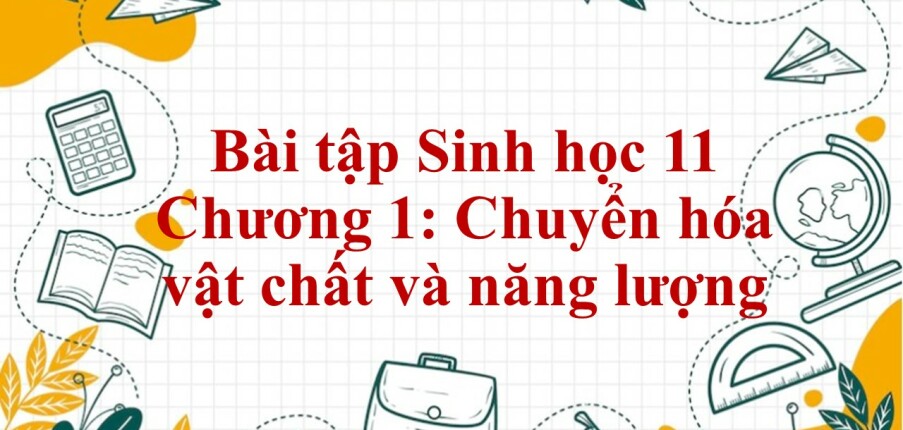 1000 Bài tập Sinh học 11 Chương 1: Chuyển hóa vật chất và năng lượng (có đáp án năm 2023)