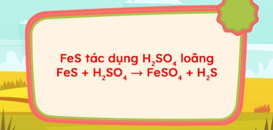 FeS + H2SO4 → FeSO4 + H2S | FeS ra FeSO4