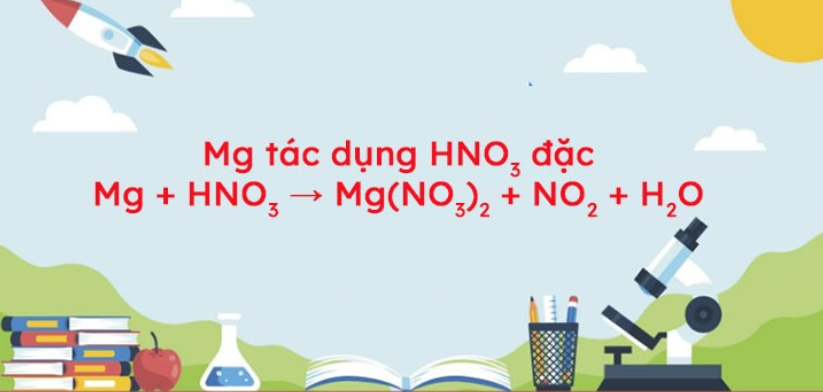 Mg + HNO3 → Mg(NO3)2 + NO2 + H2O | Mg ra Mg(NO3)2