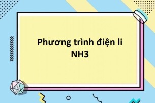 Phương trình điện li NH3