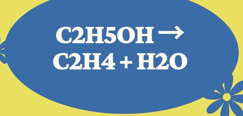 C2H5OH → C2H4 + H2O | C2H5OH ra C2H4