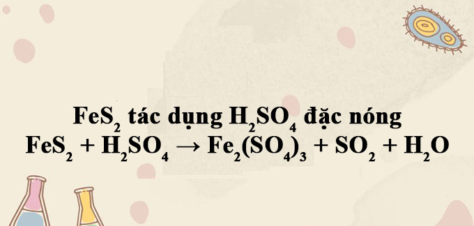 FeS2 + H2SO4 → Fe2(SO4)3 + SO2 + H2O | FeS2 ra Fe2(SO4)3