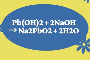 Pb(OH)2 + NaOH → Na2PbO2 + H2O | Pb(OH)2 ra Na2PbO2