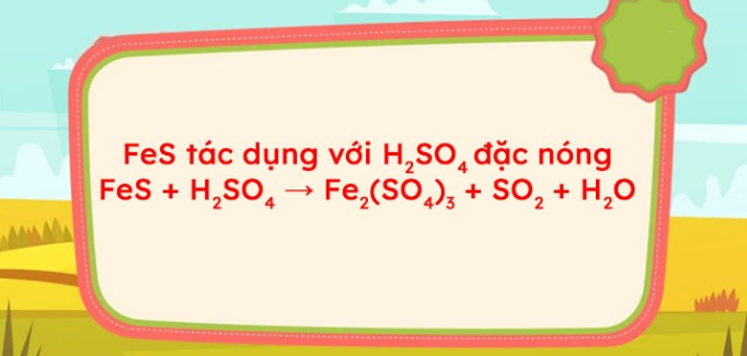 FeS + H2SO4 → Fe2(SO4)3 + SO2 + H2O | FeS ra Fe2(SO4)3