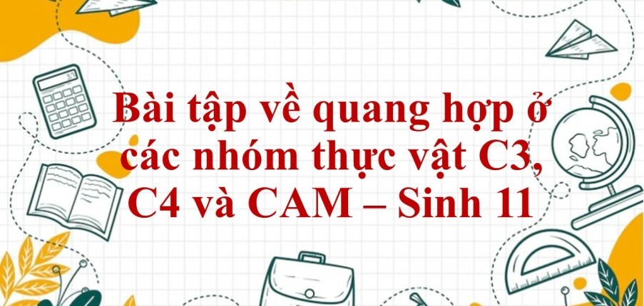 100 Bài tập về quang hợp ở các nhóm thực vật C3, C4 và CAM (2024) có đáp án chi tiết nhất