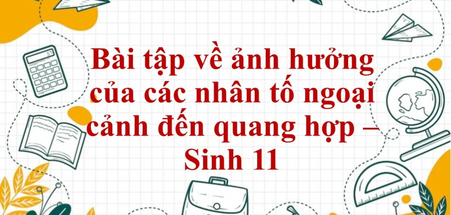 60 Bài tập về ảnh hưởng của các nhân tố ngoại cảnh đến quang hợp (2024) có đáp án chi tiết nhất