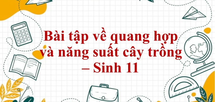 60 Bài tập về quang hợp và năng suất cây trồng (2024) có đáp án chi tiết nhất