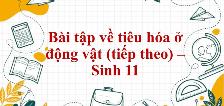 60 Bài tập về tiêu hóa ở động vật (tiếp theo) (2024) có đáp án chi tiết nhất