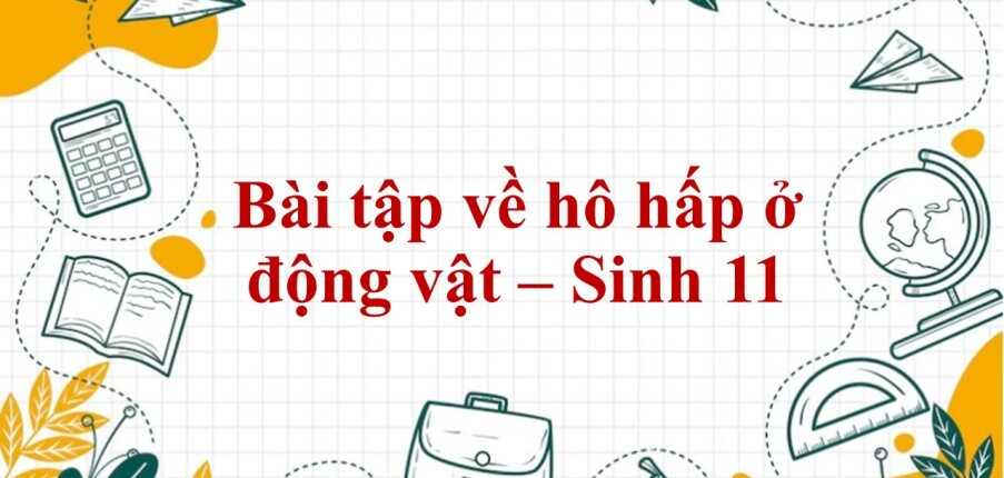 60 Bài tập về hô hấp ở động vật (2024) có đáp án chi tiết nhất