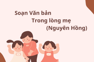 Văn bản Trong lòng mẹ (Nguyên Hồng) - Nội dung, Tác giả tác phẩm