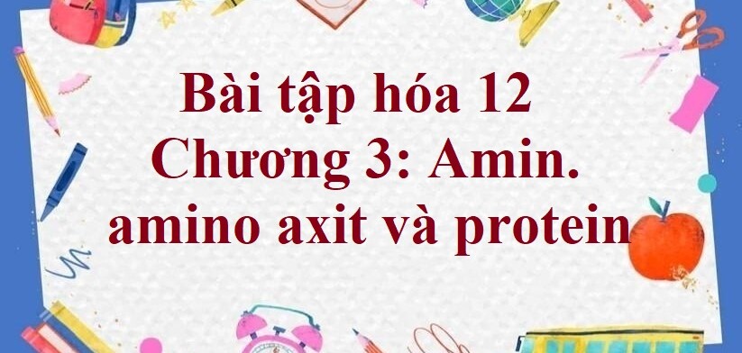 1000 Bài tập hóa 12 Chương 3: Amin. amino axit và protein (có đáp án năm 2023)