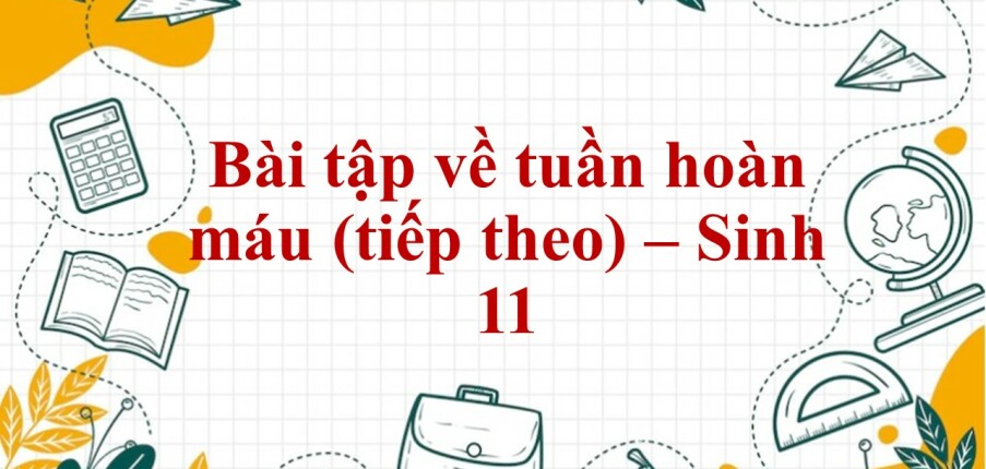 60 Bài tập về tuần hoàn máu (tiếp) (2024) có đáp án - Sinh 11