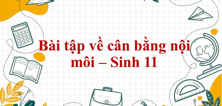 60 Bài tập về cân bằng nội môi (2024) có đáp án chi tiết nhất