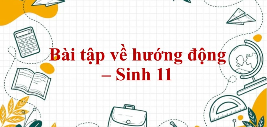 60 Bài tập về hướng động (2024) có đáp án chi tiết nhất