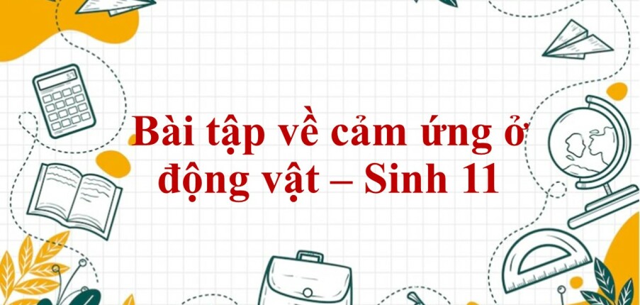 60 Bài tập về cảm ứng ở động vật (2024) có đáp án chi tiết nhất