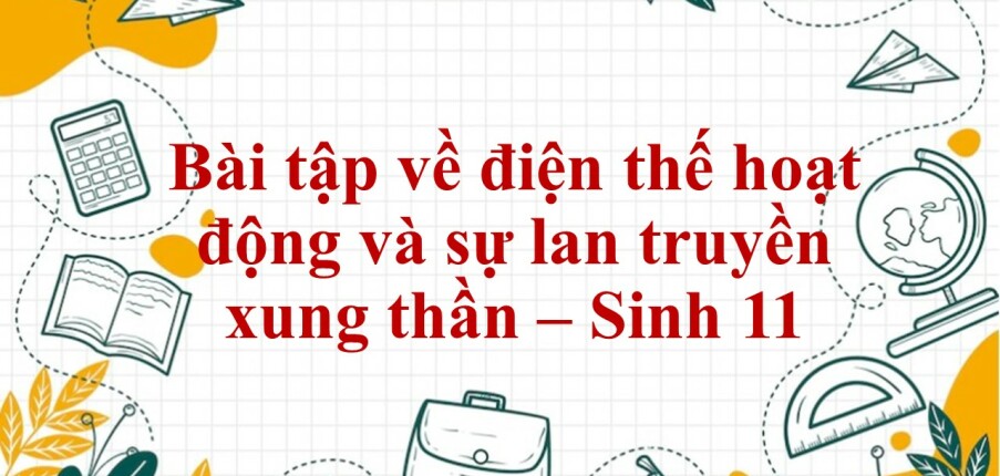 60 Bài tập về điện thế hoạt động và sự lan truyền xung thần kinh (2024) có đáp án chi tiết nhất