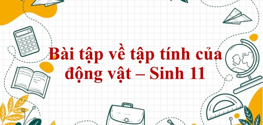 60 Bài tập về tập tính của động vật (2024) có đáp án chi tiết nhất