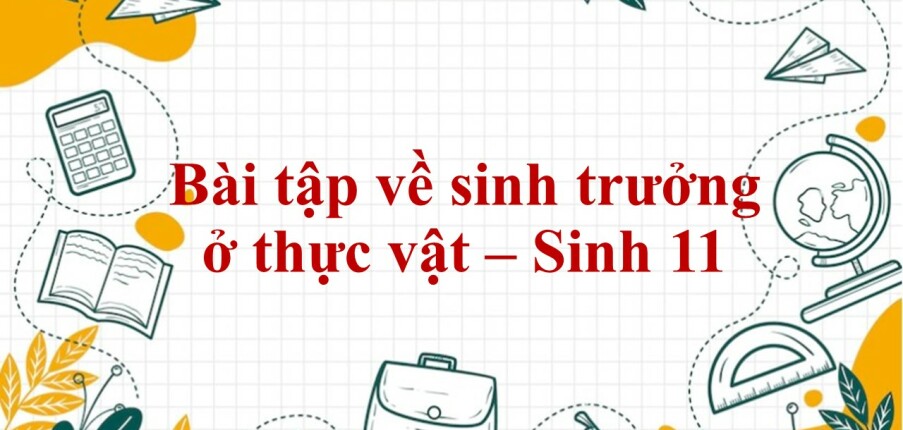 60 Bài tập về sinh trưởng ở thực vật (2024) có đáp án chi tiết nhất