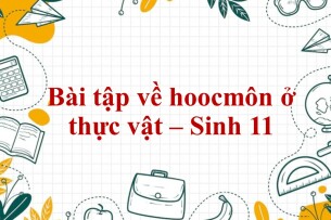 60 Bài tập về hoocmôn ở thực vật (có đáp án năm 2023) - Sinh 11