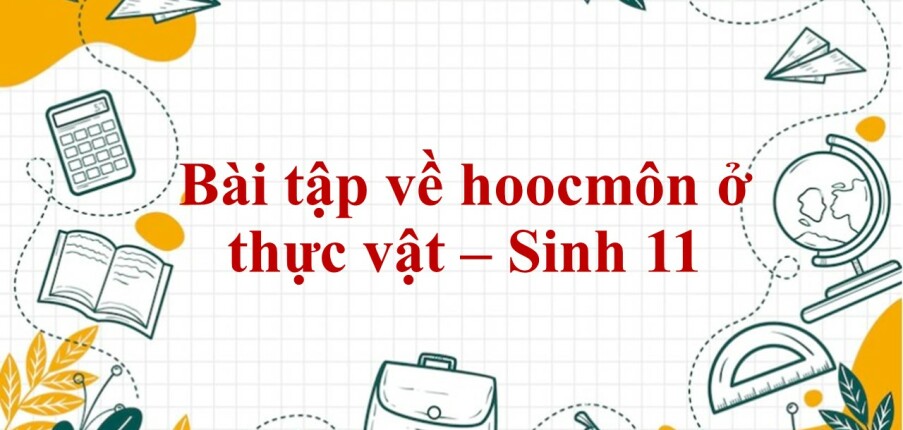 60 Bài tập về hoocmôn ở thực vật (có đáp án năm 2023) - Sinh 11