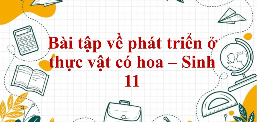 60 Bài tập về phát triển ở thực vật có hoa (2024) có đáp án chi tiết nhất